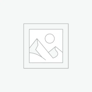 AI Image Prompts